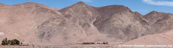 Pintados Geoglyphs - Chile