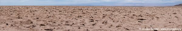 Pintados Geoglyphs - Chile