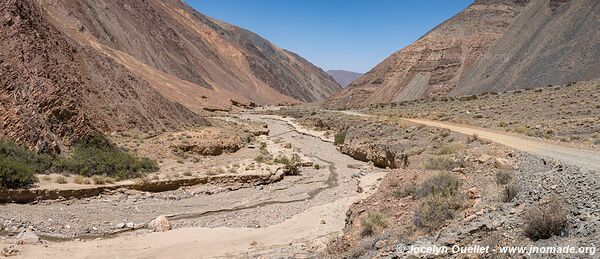 Trail Ruta 5 - Huatacondo - Ollagüe - Chile