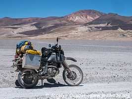 Salar de Huasco - Chili