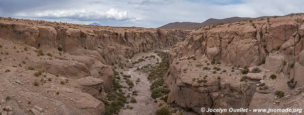 Trail Ruta 5 - Huatacondo - Ollagüe - Chile