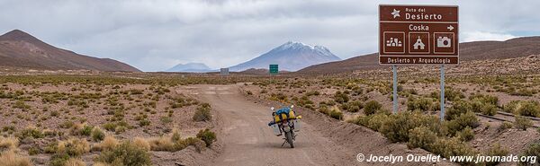 Trail Ruta 5 - Huatacondo - Ollagüe - Chile