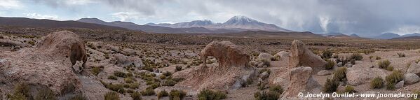 Trail Ruta 5 - Huatacondo - Ollagüe - Chile