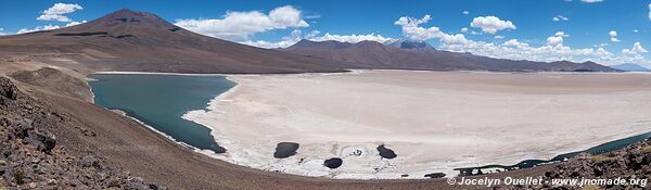 Salar de Carcote - Chili