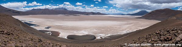 Salar de Carcote - Chile