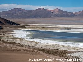 Salar de Huasco - Chili