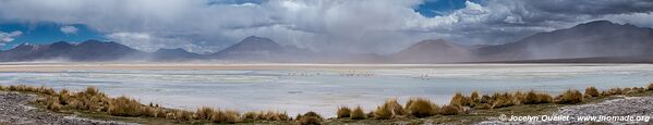 Salar de Ascotán - Chile