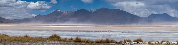 Salar de Ascotán - Chili