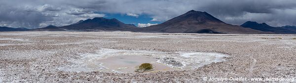 Salar de Ascotán - Chili