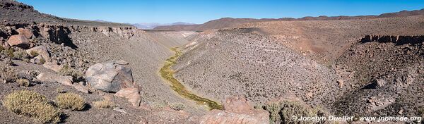 Piste de Estación San Pedro à El Tatio - Chili