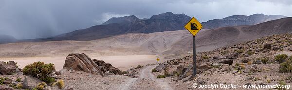 Trail from Estación San Pedro to El Tatio - Chile