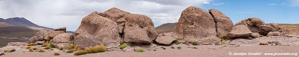 Piste de Estación San Pedro à El Tatio - Chili