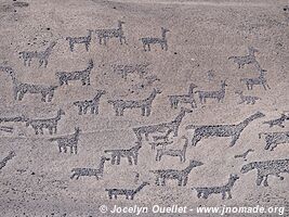 Tilviche Canyon Geoglyphs - Chile