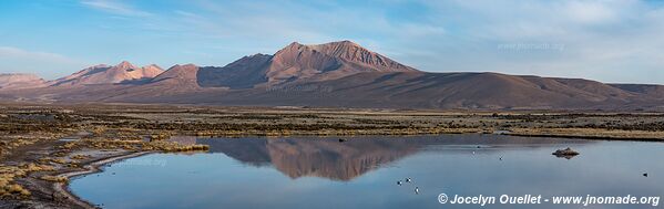 Lauca National Park - Chile