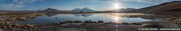 Lauca National Park - Chile