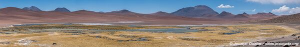 Road from San Pedro de Atacama to Paso de Jama - Chile