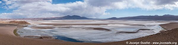 Laguna Quisquiro - Route de San Pedro de Atacama à Paso de Jama - Chili