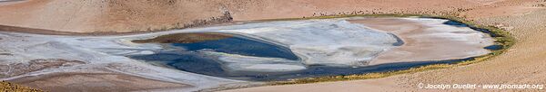 Laguna Quisquiro - Route de San Pedro de Atacama à Paso de Jama - Chili