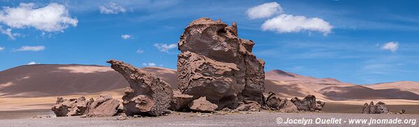 Monjes de La Pacana - Route de San Pedro de Atacama à Paso de Jama - Chili