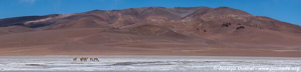 Laguna de Pujsa - Route de San Pedro de Atacama à Paso de Jama - Chili