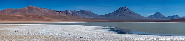 Laguna Lejia - Toconao-Laguna Lejia-Paso Sico-Santa Rosa Loop - Chile