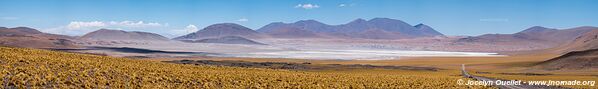 Boucle Toconao-Laguna Lejia-Paso Sico-Santa Rosa - Chili