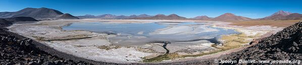 Salar de Talar - Boucle Toconao-Laguna Lejia-Paso Sico-Santa Rosa - Chili