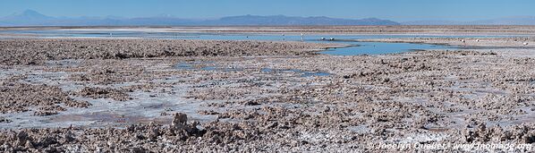 Laguna Chaxa - Chile