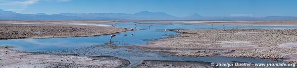 Laguna Chaxa - Chili