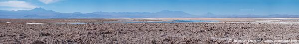 Laguna Chaxa - Chile