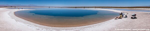 Laguna Cejar - Chili