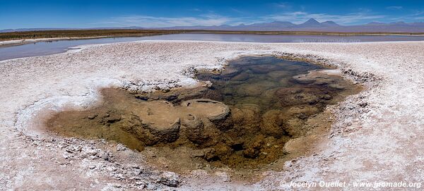 Laguna Cejar - Chile