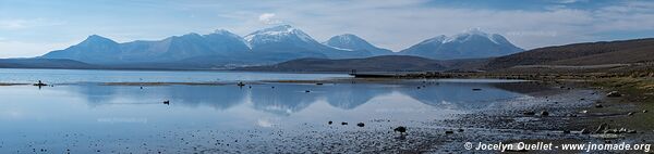 Lauca National Park - Chile