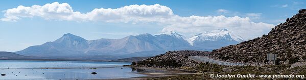 Lauca National Park - Chile