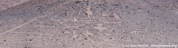 La Encañada Geoglyphs - Chile