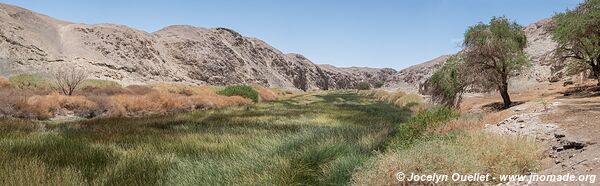 Santa Fe Dam - Chile