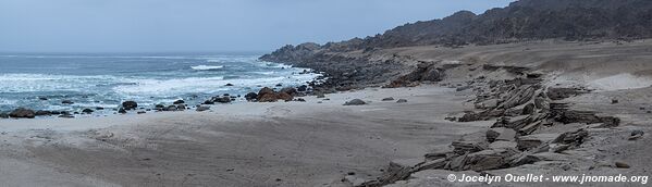 Parc national Pan de Azúcar - Chili