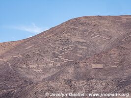 Pintados Geoglyphs - Chile