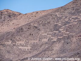 Géoglyphes de Pintados - Chili