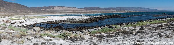 Parc national Llanos de Challe - Chili