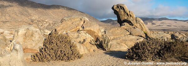 Llanos de Challe National Park - Chile