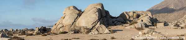 Llanos de Challe National Park - Chile