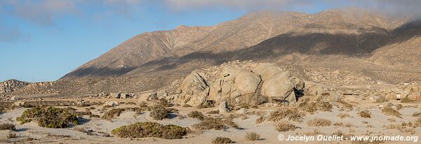 Llanos de Challe National Park - Chile