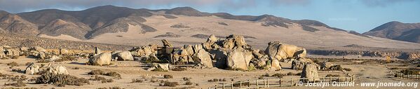 Llanos de Challe National Park - Chile