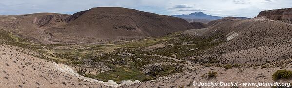 Las Vicuñas National Reserve - Chile