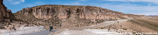 Réserve nationale Las Vicuñas - Chili