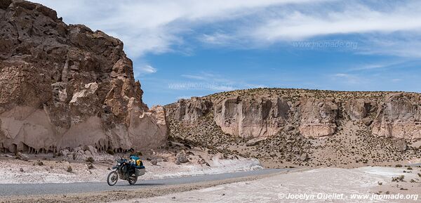 Las Vicuñas National Reserve - Chile