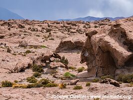 Trail Ruta 5 - Huatacondo - Ollagüe - Chile