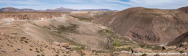 Réserve nationale Las Vicuñas - Chili