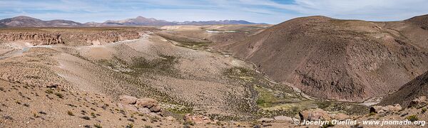 Las Vicuñas National Reserve - Chile